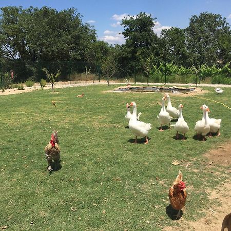 San Lorenzo de Hortóns Masia Can Canyes & Spa المظهر الخارجي الصورة